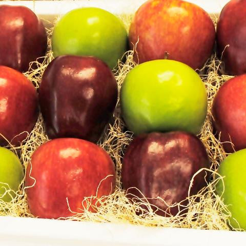 Apple Medley Suitcase