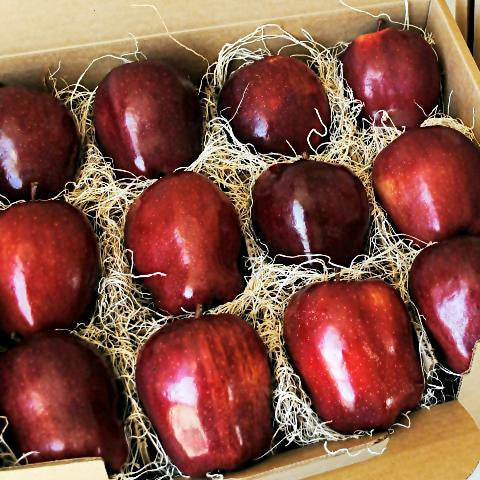 Red Delicious Apple Suitcase