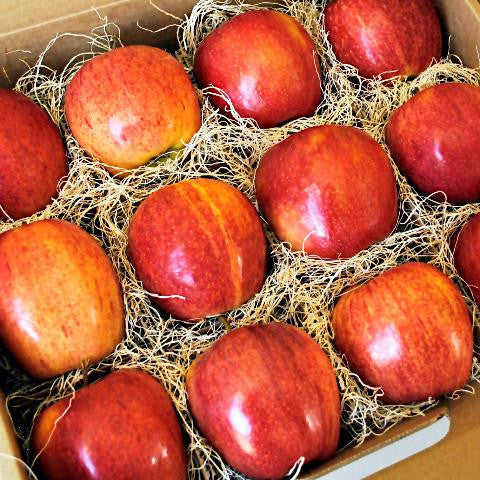 Gala Apple Box Suitcase