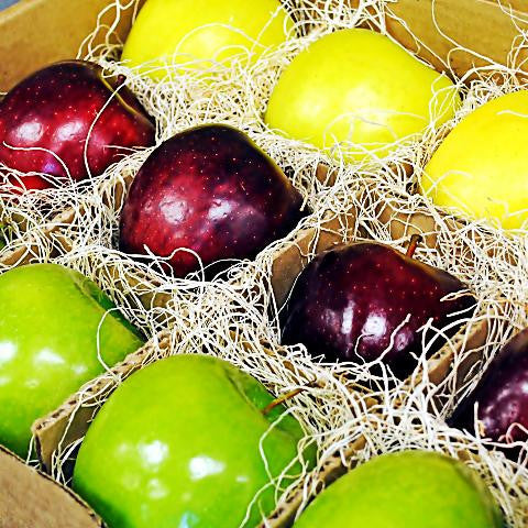 Holiday Apple Suitcase