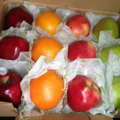 Sampler Fruit Box